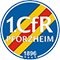 BSV霍尔扎森